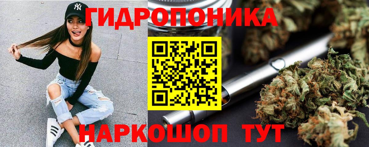 Бошки марихуана Bruce Banner  МАРИХУАНА White Widow  Краснознаменск  Вход с VPN  Бошки марихуана марихуана 